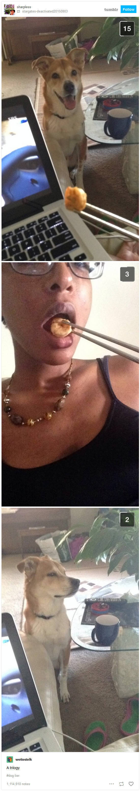 the funniest stuff internet could provide 100 pics 5.html - 100 HD Photos | Premium Gallery 2019