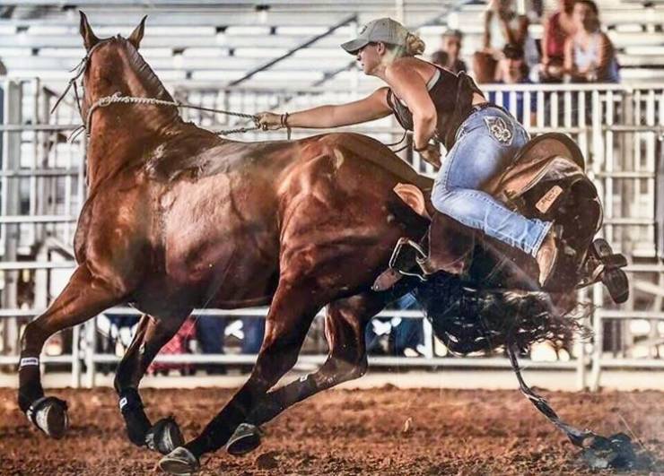 daily picdump 100 pics 39.html - 100 HD Photos | Premium Gallery 2019