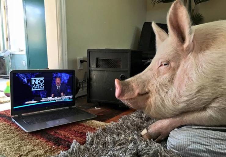 daily picdump 100 pics 39.html - 100 HD Photos | Premium Gallery 2019