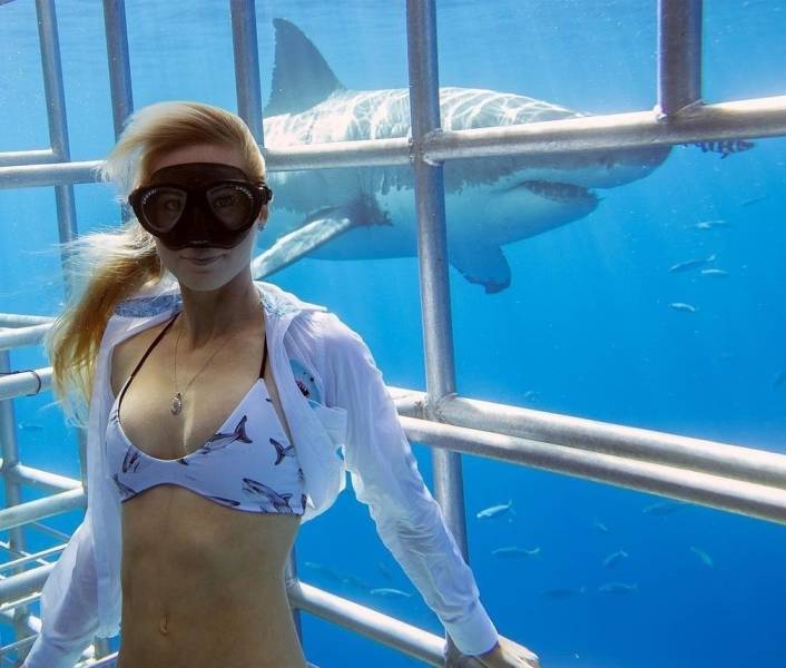 daily picdump 100 pics 39.html - 100 HD Photos | Premium Gallery 2019