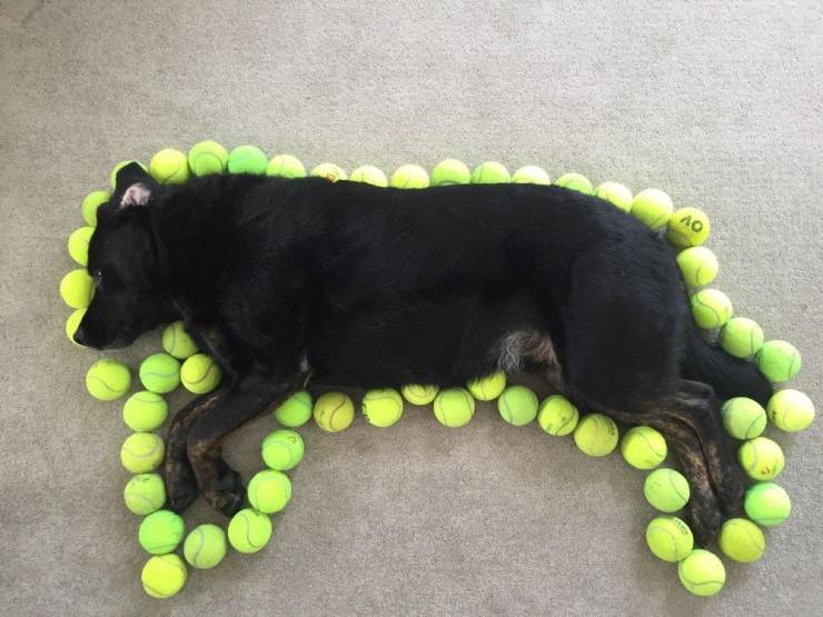 daily picdump 100 pics 39.html - 100 HD Photos | Premium Gallery 2019