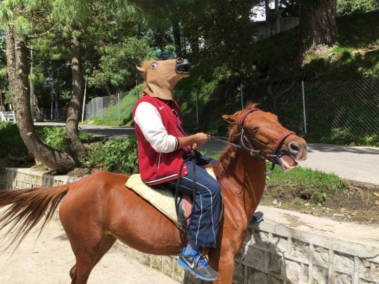 daily picdump 100 pics 39.html - 100 HD Photos | Premium Gallery 2019