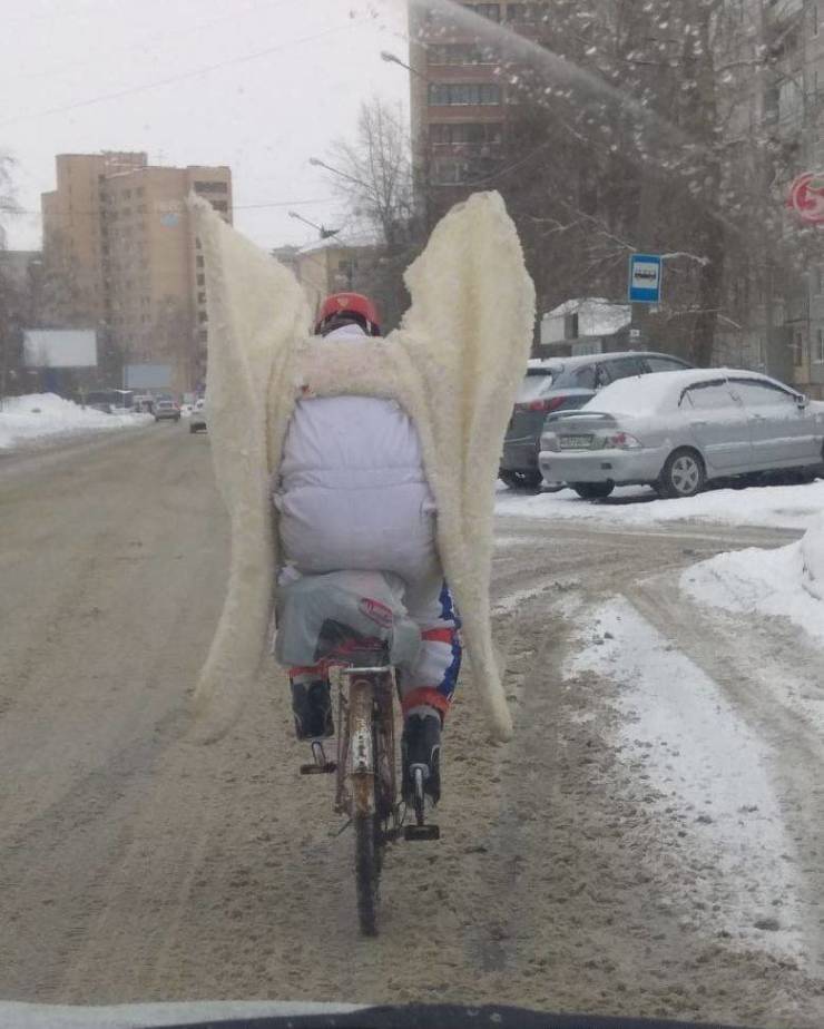 daily picdump 100 pics 39.html - 100 HD Photos | Premium Gallery 2019