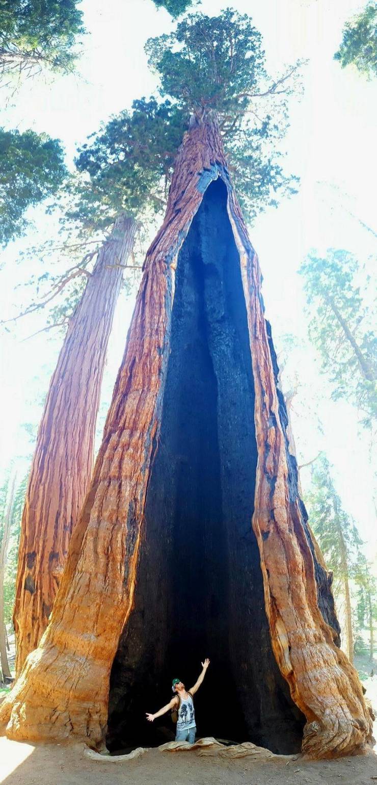 daily picdump 100 pics 39.html - 100 HD Photos | Premium Gallery 2019