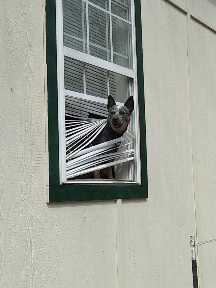 daily picdump 100 pics 39.html - 100 HD Photos | Premium Gallery 2019