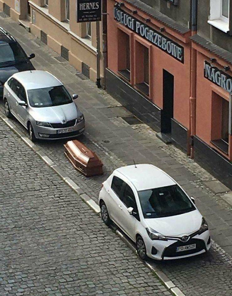 daily picdump 100 pics 39.html - 100 HD Photos | Premium Gallery 2019