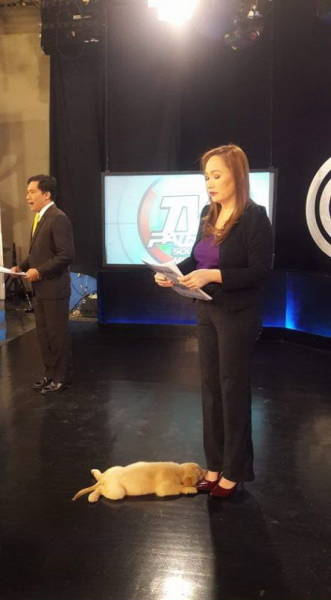 top 250 morning pics of the year 2019.html - 1 HD Photos | Premium Gallery 2019