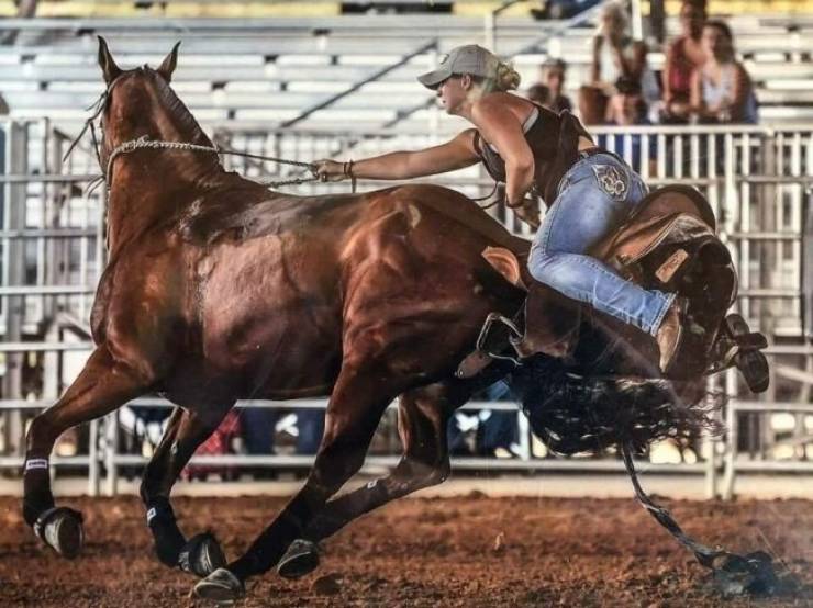 Photographers Who Found THE Perfect Moments