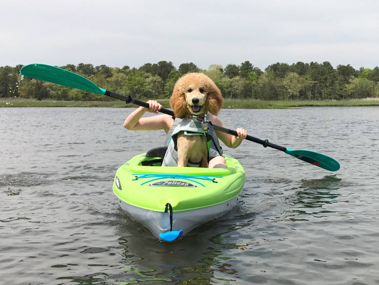 Photographers Who Found THE Perfect Moments