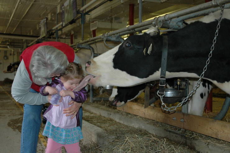 Photographers Who Found THE Perfect Moments