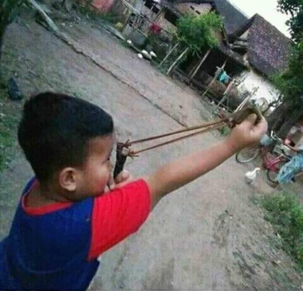 Photographers Who Found THE Perfect Moments