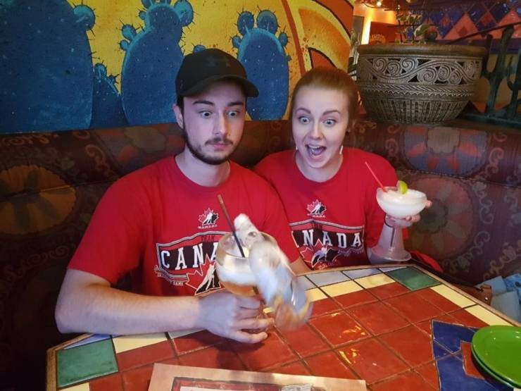 Photographers Who Found THE Perfect Moments