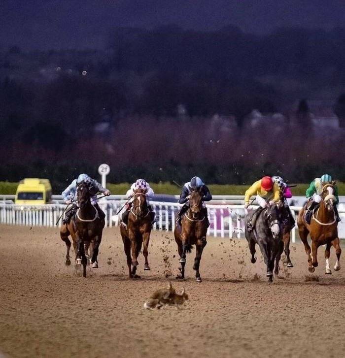 Photographers Who Found THE Perfect Moments