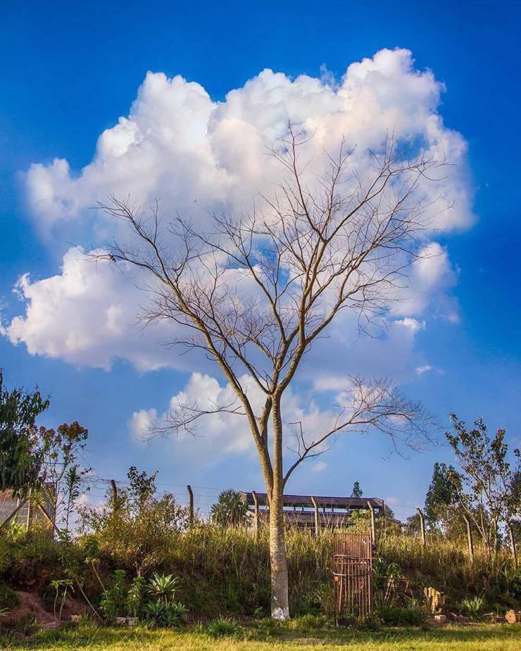 Photographers Who Found THE Perfect Moments