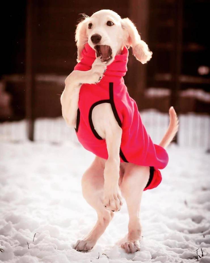 Photographers Who Found THE Perfect Moments