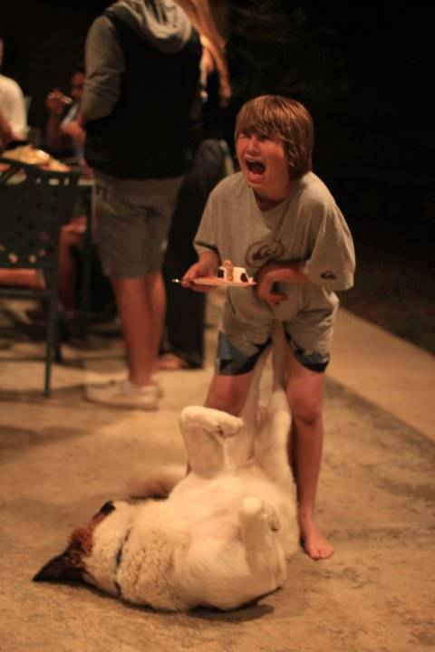 Photographers Who Found THE Perfect Moments