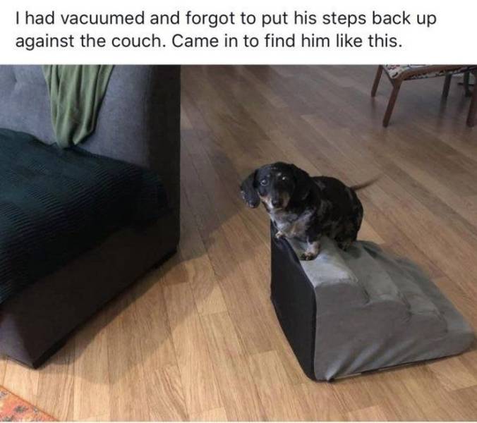 page,3,top 750 daily pics of the year 2019.html - 1 HD Photos | Premium Gallery 2019