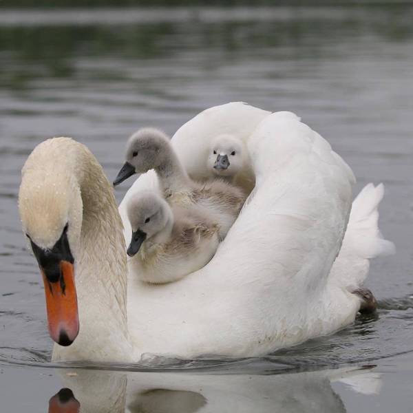 page,3,top 250 morning pics of the year 2019.html - 1 HD Photos | Premium Gallery 2019