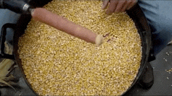 GIFs Look Much Better When Reversed