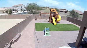 GIFs Look Much Better When Reversed