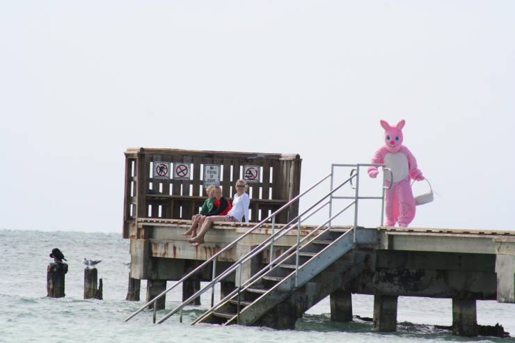 daily picdump 92 pics 38.html - 92 HD Photos | Premium Gallery 2019