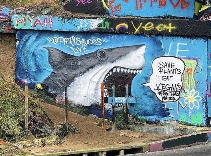 daily picdump 92 pics 38.html - 92 HD Photos | Premium Gallery 2019