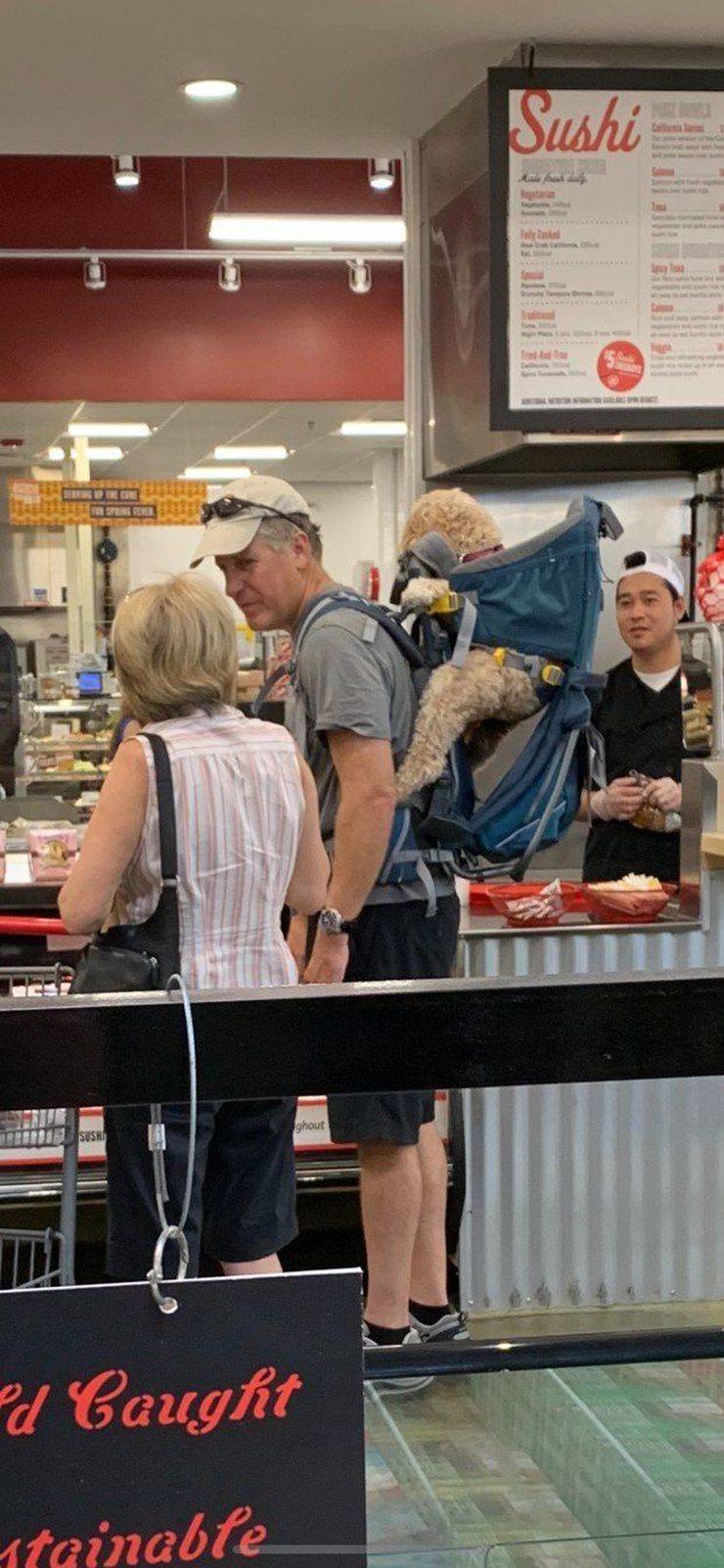 daily picdump 92 pics 38.html - 92 HD Photos | Premium Gallery 2019