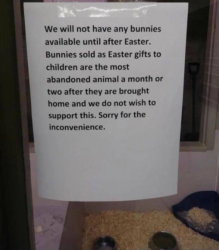 daily picdump 92 pics 38.html - 92 HD Photos | Premium Gallery 2019