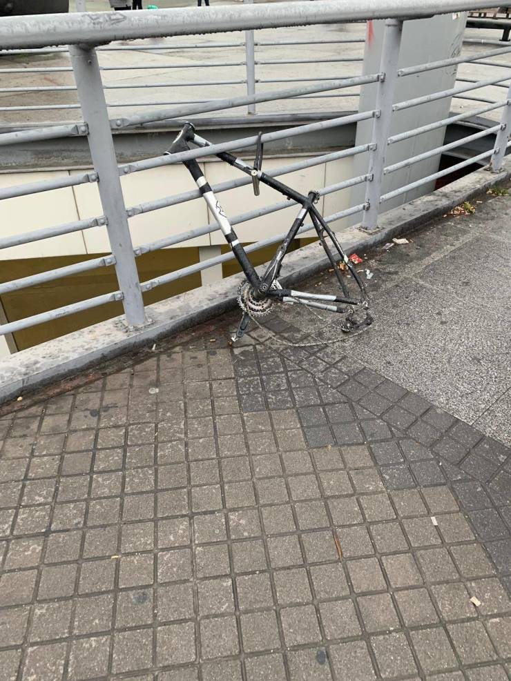 daily picdump 92 pics 38.html - 92 HD Photos | Premium Gallery 2019