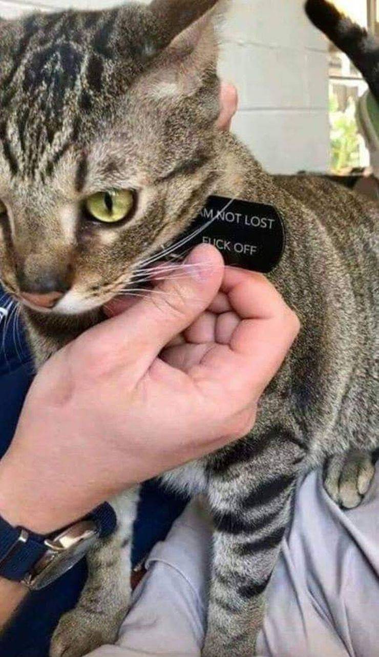 daily picdump 92 pics 38.html - 92 HD Photos | Premium Gallery 2019