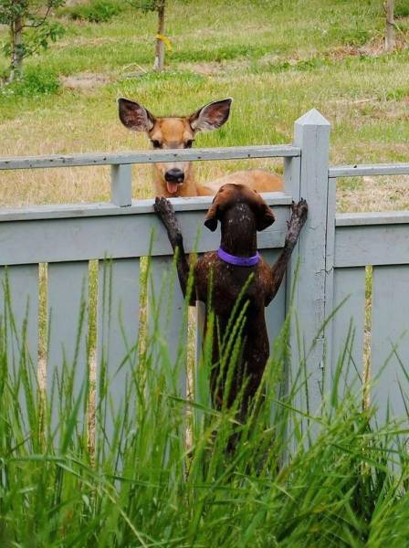 page,8,top 750 daily pics of the year 2019.html - 1 HD Photos | Premium Gallery 2019