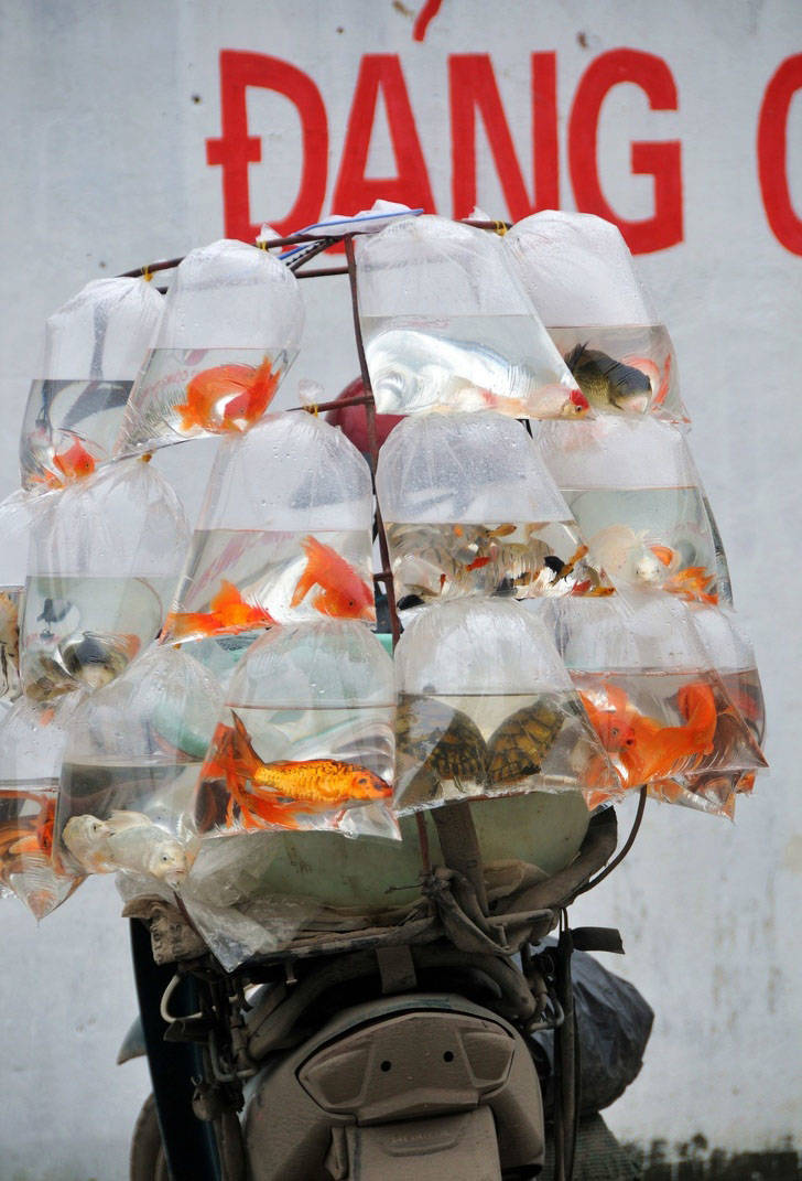 Pollution Must Stop!