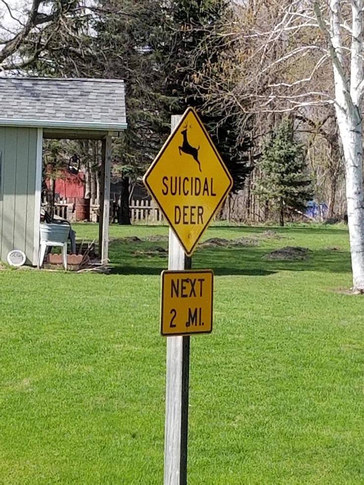 funny picdump 54 pics 2.html - 54 HD Photos | Premium Gallery 2019