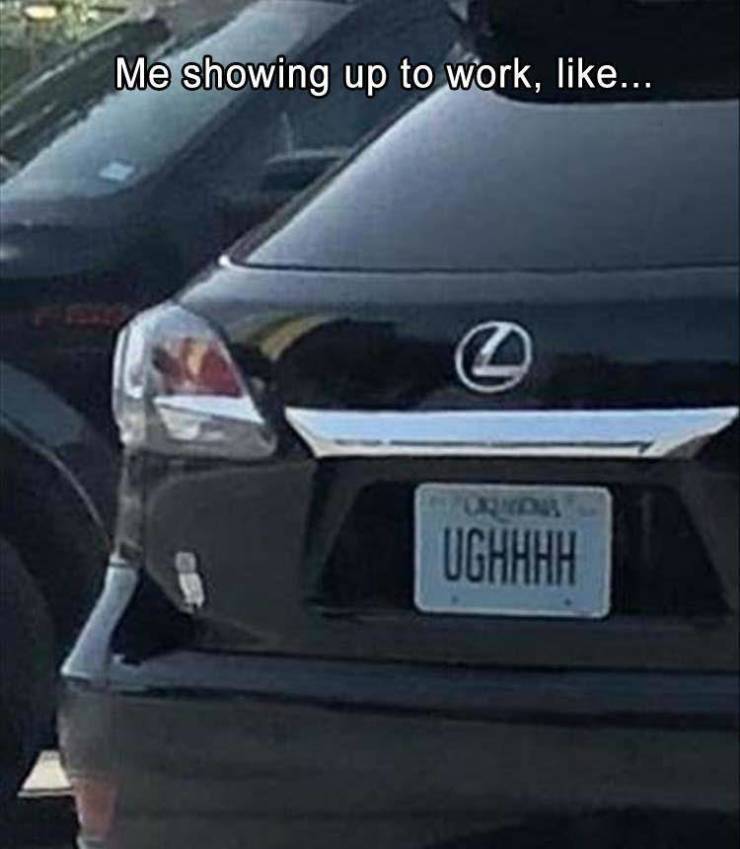 funny picdump 54 pics 2.html - 54 HD Photos | Premium Gallery 2019