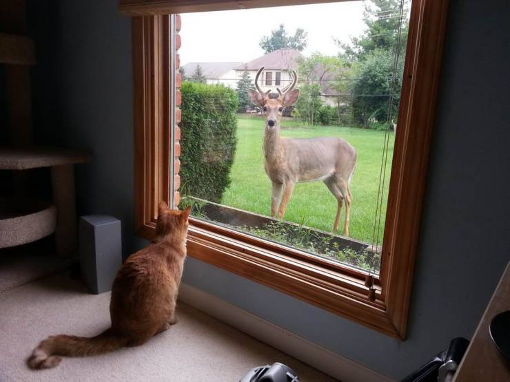 Daily Picdump