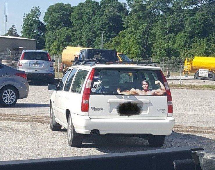daily picdump 100 pics 4.html - 100 HD Photos | Premium Gallery 2019