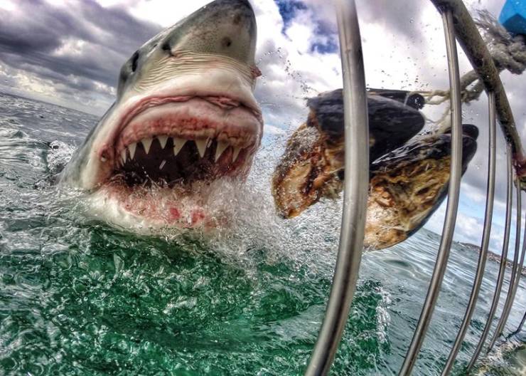 daily picdump 100 pics 4.html - 100 HD Photos | Premium Gallery 2019