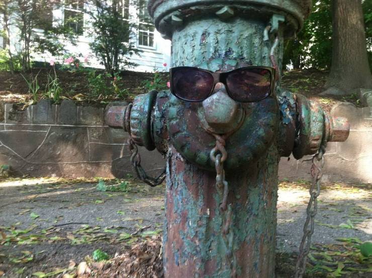 daily picdump 100 pics 4.html - 100 HD Photos | Premium Gallery 2019