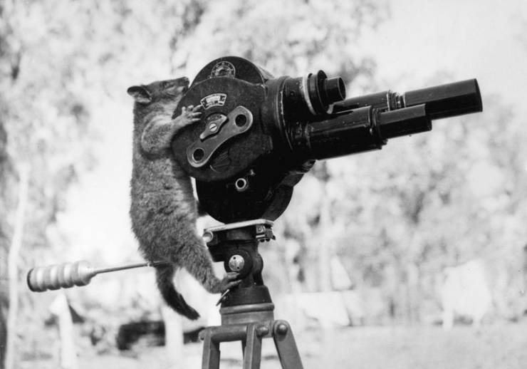daily picdump 100 pics 4.html - 100 HD Photos | Premium Gallery 2019