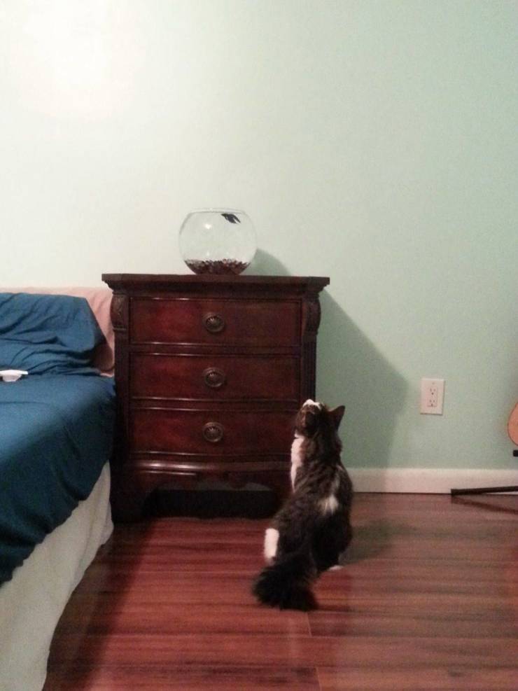 Daily Picdump