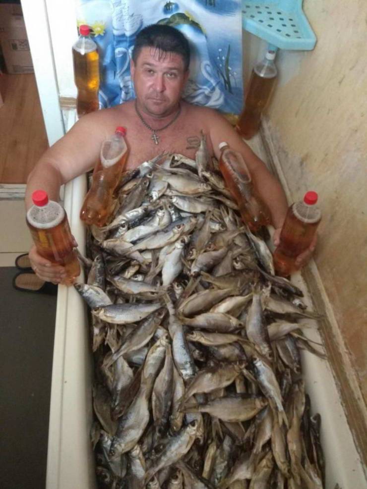 Daily Picdump