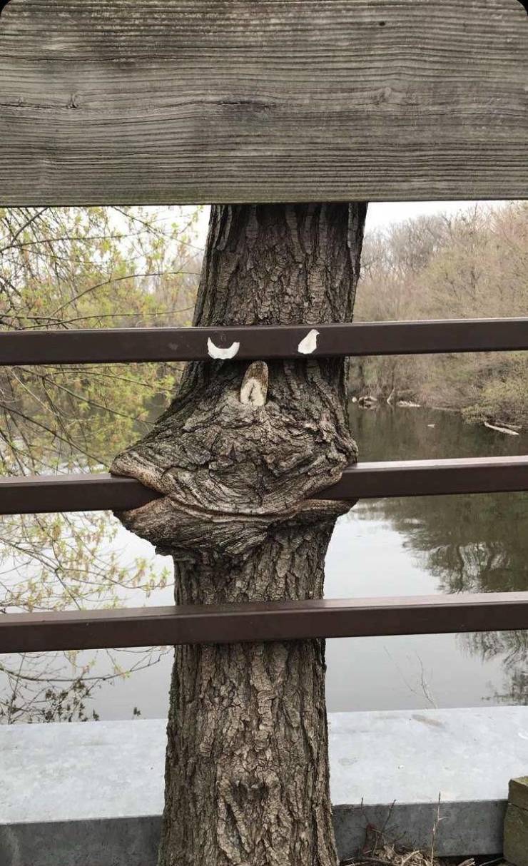 daily picdump 100 pics 4.html - 100 HD Photos | Premium Gallery 2019