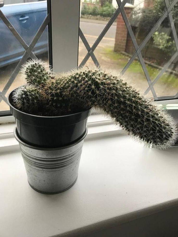 daily picdump 100 pics 4.html - 100 HD Photos | Premium Gallery 2019