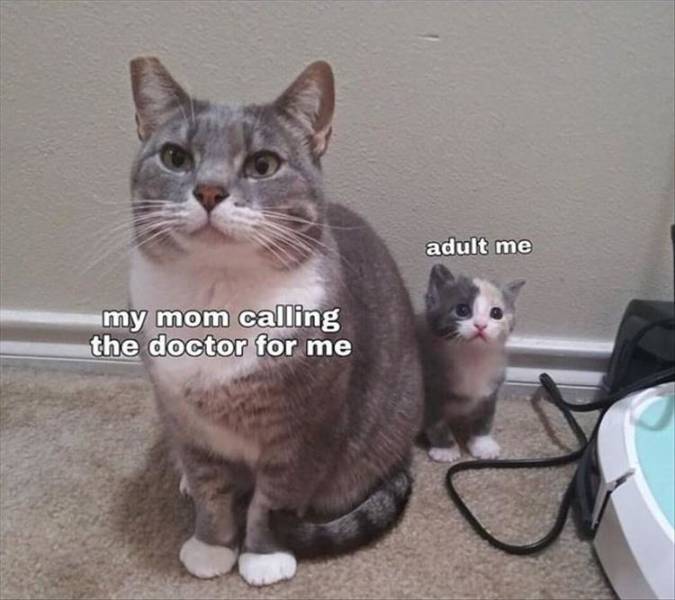 funny picdump 54 pics 24.html - 54 HD Photos | Premium Gallery 2019