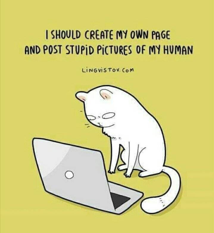 funny picdump 54 pics 24.html - 54 HD Photos | Premium Gallery 2019