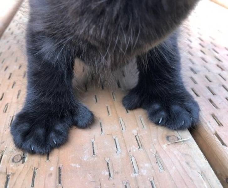 page,5,top 100 posts of the year 2019.html - 1 HD Gallery | Premium Gallery 2019