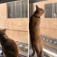 hot and hardcore tattooed girls 56 pics.html - 56 HD Photos | Premium Gallery 2020