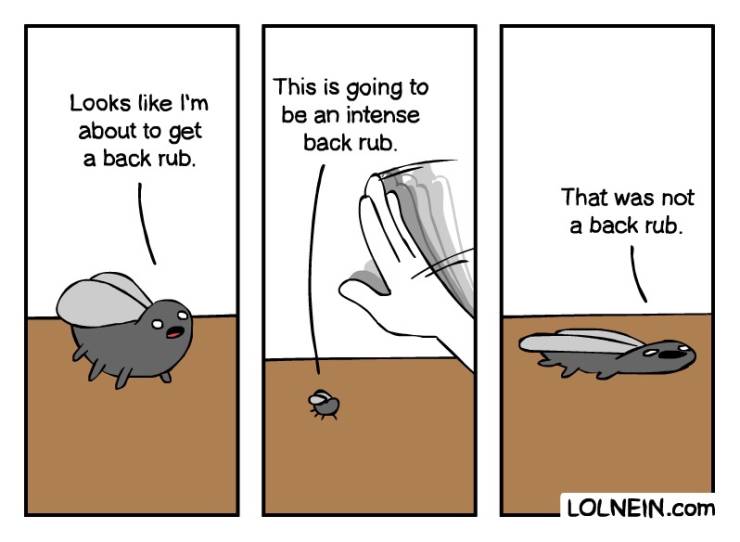 Funny Picdump