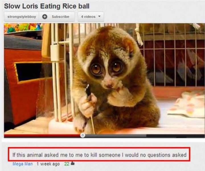 Funny Picdump