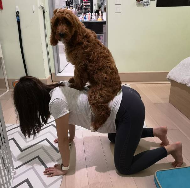 funny picdump 52 pics 2.html - 52 HD Photos | Premium Gallery 2019